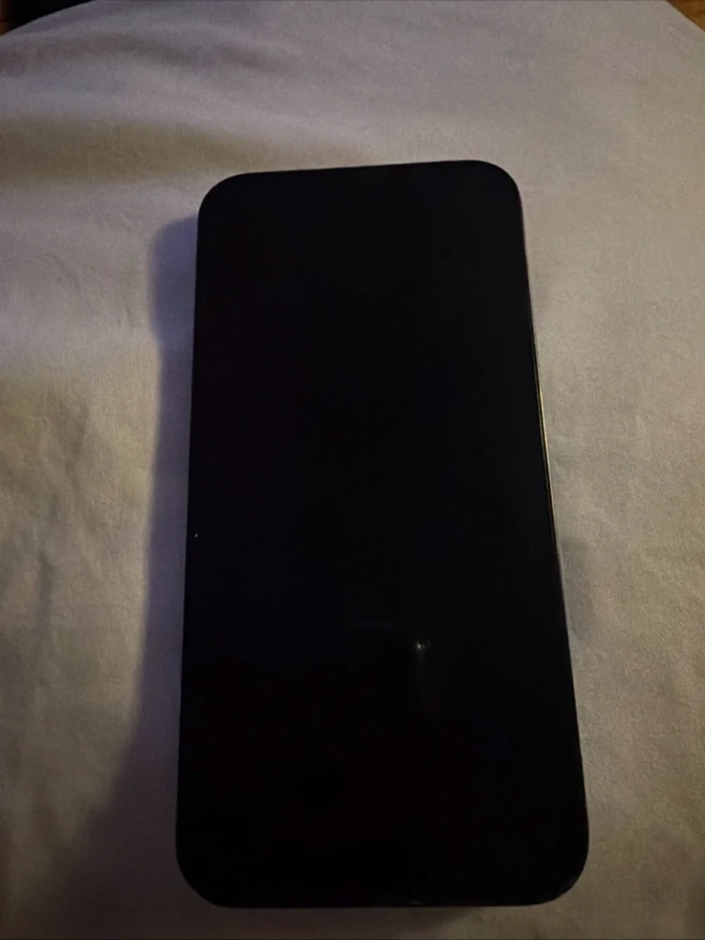 Apple iPhone 13 Pro - Light Blue Back with Black Camera Rings